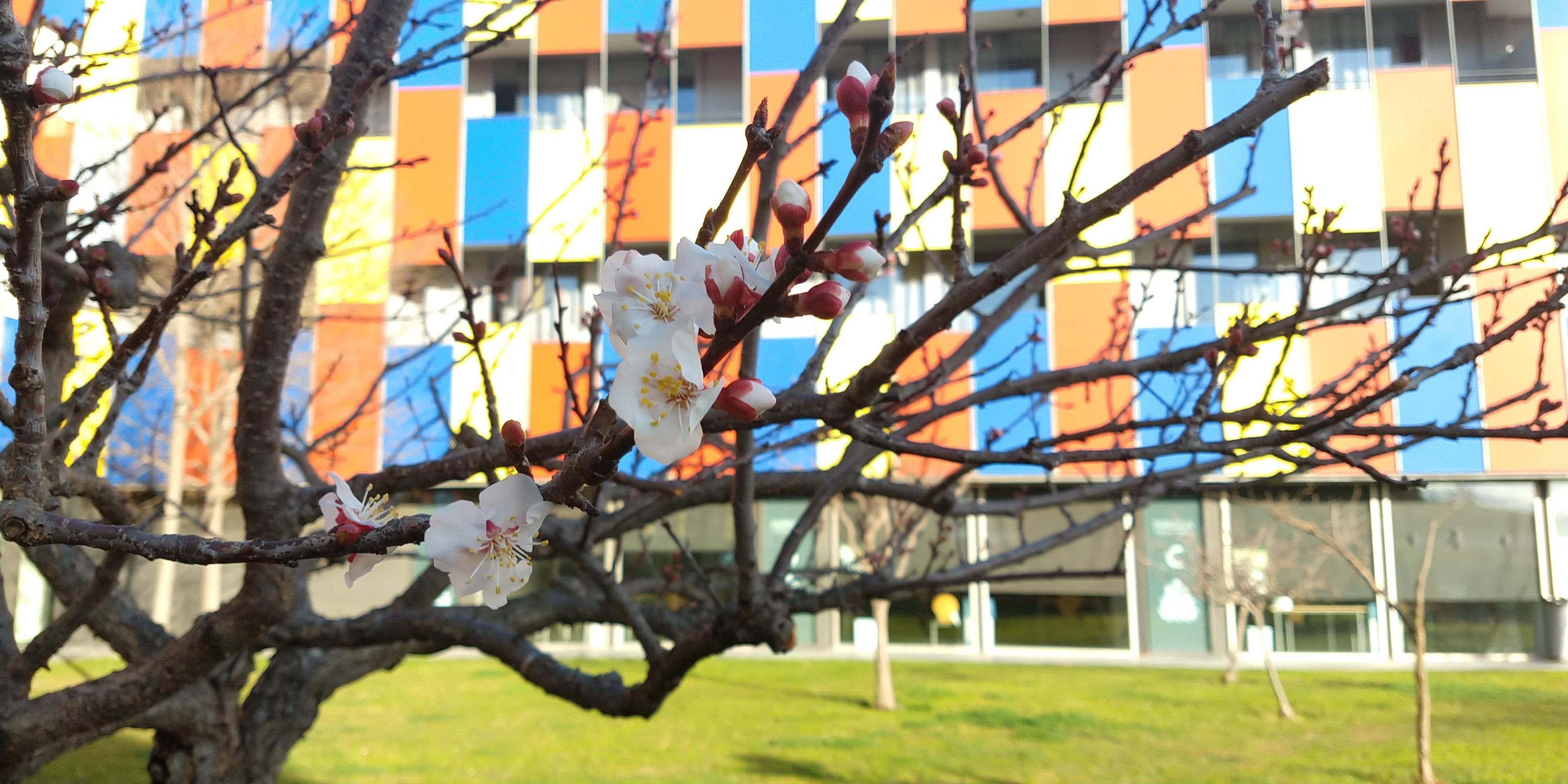 เซ็นเตอร์ เอลไปล อัลเบร์เก Hostel เอลปรัตเดยูเบรกัต ภายนอก รูปภาพ